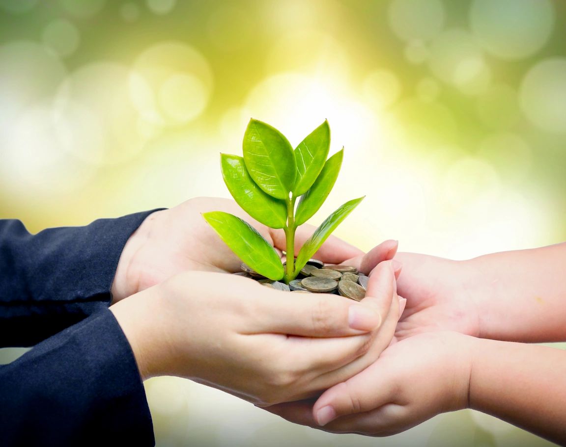 Why I Donated to Northbrook Focused